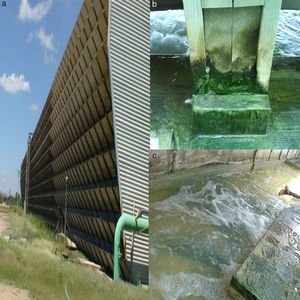 The cooling tower in the thermoelectric power plant of Villa de Reyes, San Luis Potosí, Central Mexico (a). The samples of biofilms composed by microalgae were taken at the top of the tower (b). Floor of the cancels in the top of the tower with microalgal mats, showing the turbulence of the water (c).