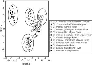 Scatterplots of centroids of specimens of Gila from northwestern Mexico (see Table 2 for standardized coefficients of canonical variables).
