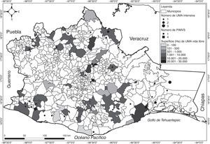 Distribución de la superficie de manejo en vida libre por municipio (UMA en vida libre) y ubicación por municipio de las UMA intensivas y PIMVS.