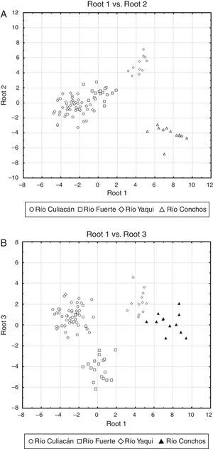Scatter plots of centroids of populations for suckers (Catostomus sp. and C. bernardini) in northwestern Mexico. (A) Root 1 vs. root 2, and (B) root 1 vs. root 3 (see Table 2 for canonical coefficients).