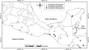 Distribución de las especies de Schultesia en México y parte de Centroamérica. Fuente: datos obtenidos parcialmente de la base de datos Tropicos (2015).