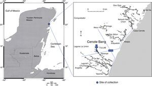 Map showing sampling site, Cenote Bang, in the Yucatán Peninsula, Mexico.