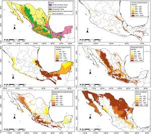Map of the 5 main biomes of Mexico and richness values in each of them. Values were standardized by area by dividing the total values by the logarithm (log10) of the state's surface. Biomes following the definition of Villaseñor and Ortiz (2014).
