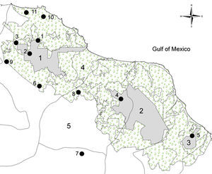 Map showing the delimitation of 11 populations of C. alternans sampled in the Biosphere Reserve Los Tuxtlas (black circles). We include the first core area the San Martín Tuxtla Volcano (1), the second core area the Santa Marta Sierra (2) and the third core area was the San Martín Pajapan Volcano (3) with grey colour. The number 4 shows the buffer zone in light green and 5 shows the Catemaco Lake.