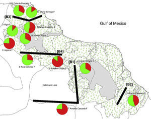 Map shows sampling localities representing 11 populations of C. alternans in Los Tuxtlas, Veracruz, Mexico. Each pie chart represents the proportions in each population of the 2 genetic groups as assigned by the program STRUCTURE. Green and red represent the genetic groups corresponding to conserved and fragmented sites, respectively. Numbers next to each symbol correspond to the population numbers given in Table 1. Black lines represent 4 detected barriers.