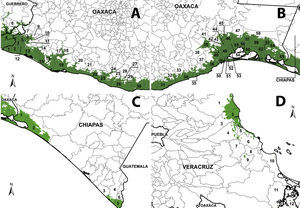Distribución potencial de Moringa oleifera en Oaxaca, Chiapas y Veracruz. A, Oaxaca. B, Chiapas. C, Veracruz. Los nombres que corresponden a los municipios designados con un número se encuentran en la el anexo 1.