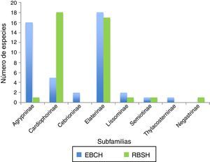 Comparación de la riqueza de especies de elatéridos por subfamilia presentes en la Reserva de la Biosfera Sierra de Huautla (RBSH) y en la Estación de Biología de Chamela, Jalisco (EBCH).