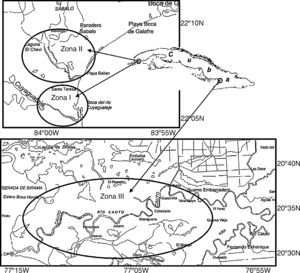 Zonas de estudio: cuenca del río Cuyaguateje (zonas i y ii) y cuenca del río Cauto (zona iii). Con rayado, las zonas de ostión de fondo, y con puntos negros, las de ostión de mangle.