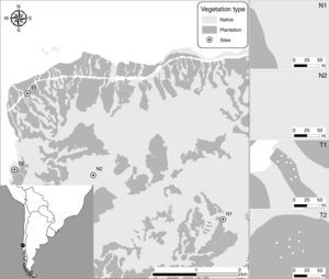 Study area map, showing the location of the sampling sites and a detail of the sampling points within each site.