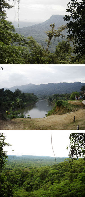 Unidades de paisaje identificadas en el área de influencia de la serranía del Baudó, Chocó, Colombia: A) colinas medias entre >200 y 300m snm, B) colinas bajas entre >100 y 200m snm y C) llanuras aluviales-piedemonte en la cuenca alta del río Baudó entre 45 y100m snm.
