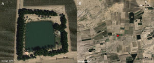 (A) Artificial pond where we captured Promops centralis. (B) The pond (red dot) is mainly surrounded by crops. This area is very dry and these water bodies are the only source of fresh water nearby.