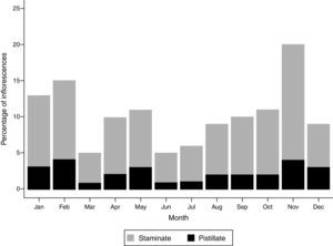 Proportion of individuals of Wettinia kalbreyeri in either staminate phase (grey) or pistillate phase (black) of 100 monitored individuals in an Andean montane forest of Colombia. From January 2010 to December 2010.