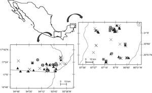 Study sites. 1, Uxpanapa valley (tropical rainforest); 2, northeastern Yucatán Peninsula (semi-deciduous tropical forest). Black triangles=jaguar samples, gray circles=puma samples, crosses=unidentified large felid samples.