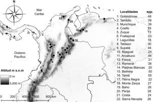 Riqueza de Pronophilina al norte de los Andes.
