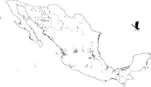 Odonate species records for the Mexican territory. Collection range spanned from 2000 to 2014.