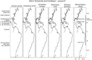 Distribution of Warm Temperate and Caribbean species. Group A1 (Unciola serrata, Ampelisca verrilli, Cymadusa compta, Elasmopus levis, Eobrolgus spinosus, Microprotopus raneyi) along the Western Atlantic (■) including the Mexican lagoons (●).