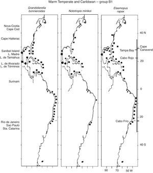 Distribution of Warm Temperate and Caribbean species. Group B1 (Grandidierella bonnieroides, Nototropis minikoi, Elasmopus rapax) along the Western Atlantic (■) including the Mexican lagoons (●).