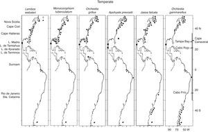 Distribution of temperate species (Lembos websteri, Monocorophium tuberculatum, Orchestia grillus, Apohyale prevostii, Jassa falcata, Orchestia gammarellus) along the Western Atlantic (■) including the Mexican lagoons (●).