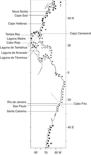 Grouping of the warmer (+) and colder (●) regions along the Western Atlantic based on the geographic points recorded for the 29 amphipod species of Laguna Madre, Tamaulipas and Laguna de Tamiahua, Veracruz, Mexico. The 2 slotted lines represent the zoogeographic boundaries that separate the warmer tropical regions from the colder Temperate regions along the Western Atlantic. The northern boundary spans along an imaginary line from Cabo Rojo in Veracruz to Tampa Bay and Cape Canaveral in Florida, and the southern boundary lies at Cabo Frío in Brazil.