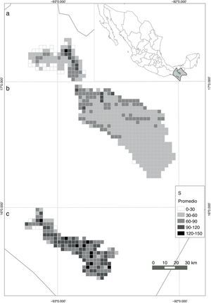Predicción de la distribución espacial de la riqueza de especies en celdas de 10km2 en 3 regiones de Chiapas (México) con base en el promedio de 2 modelos, uno basado en especímenes de herbario y el otro derivado de datos de parcelas de inventarios. a) Montañas del norte, b) Los Altos, c) REBITRI.