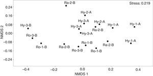NMDS de muestras de macroinvertebrados recolectados en parches de macrófitas (Hy: Hydrocotyle spp.; Ra: Ranunculus flagelliformis; Ro: Rorippa nasturtium-aquaticum) de 3 arroyos de cabecera en pastizales de altura (1, 2 y 3) durante los periodos de aguas altas (A) y aguas bajas (B).
