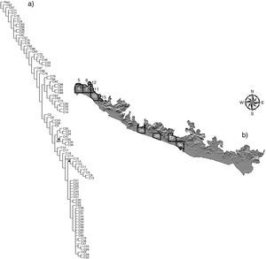 Análisis de parsimonia de endemismos (a) y correspondencias geográficas (b) sobre el mapa de la costa del Pacífico de Guerrero. Los números en los nodos corresponden al valor de confiabilidad bootstrap. • Taxones sinapomórficos (véase la tabla 2).