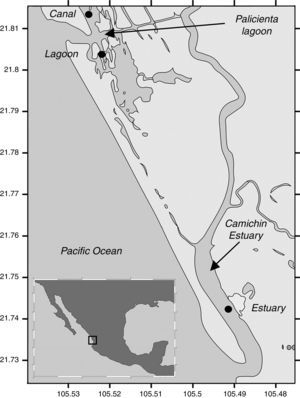 Location of the sampling sites in Camichin estuary and Palicienta lagoon, Nayarit, Mexico.