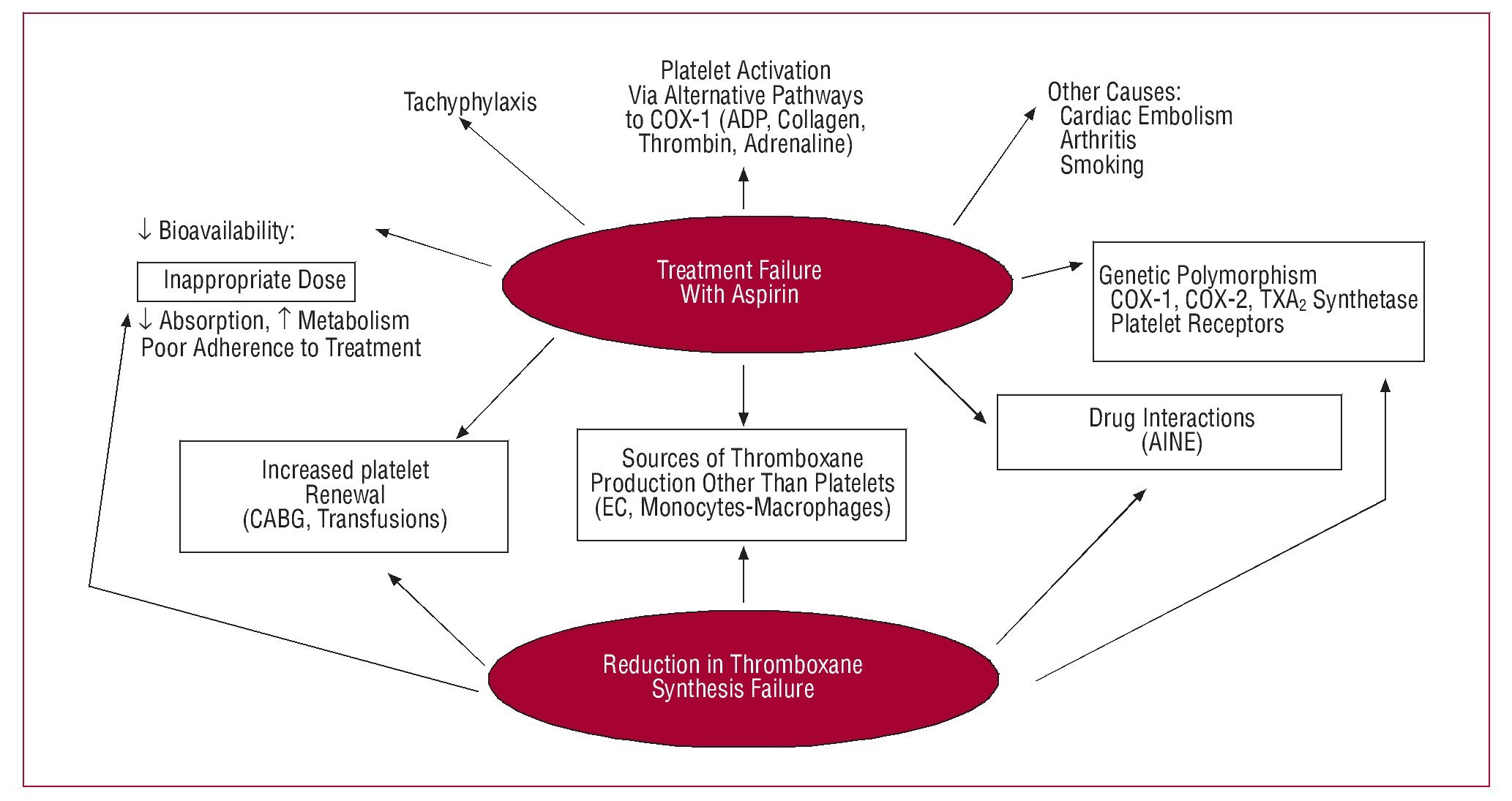 Coronary Atherothrombotic Disease Progress in Antiplatelet Therapy
