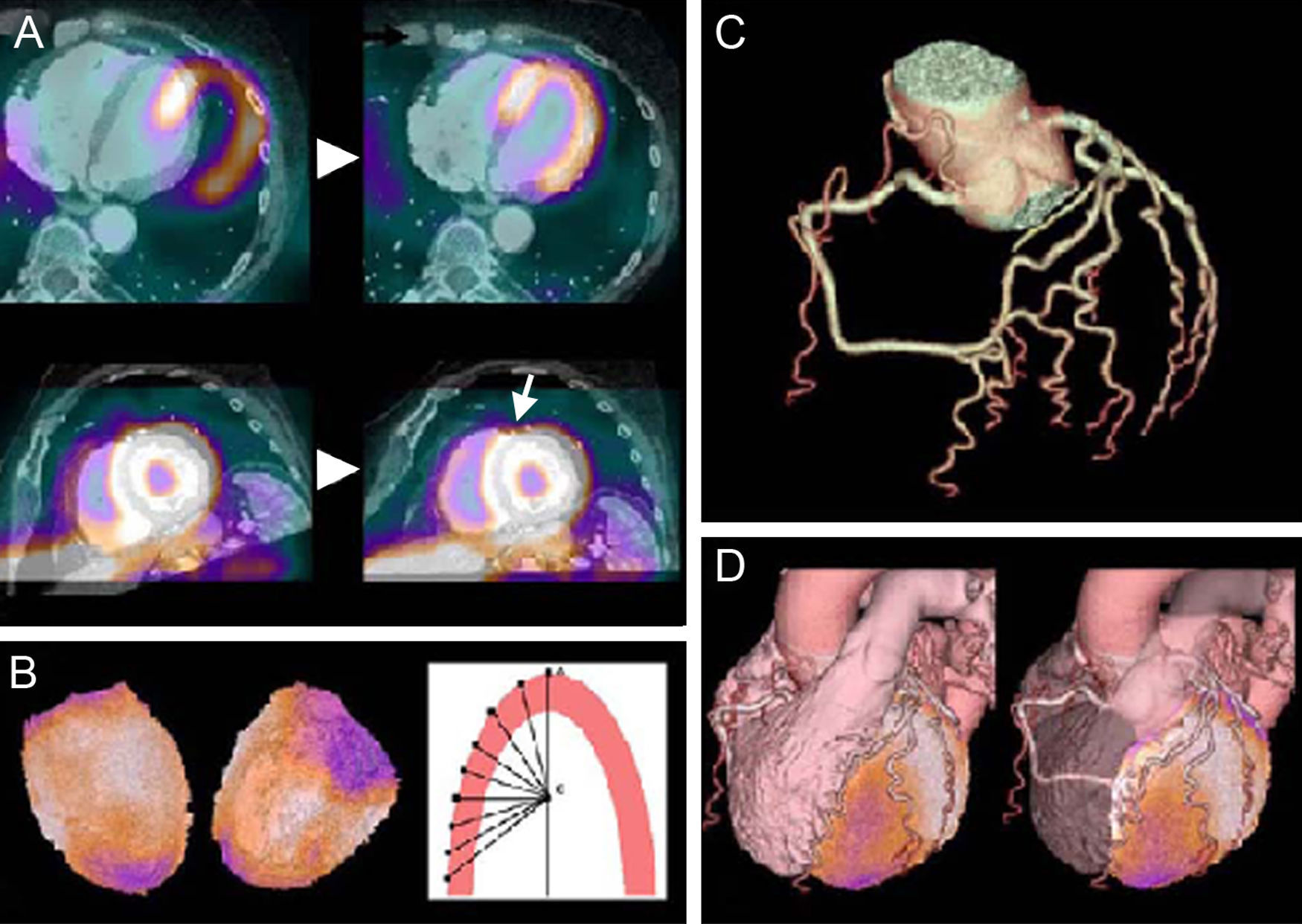 Imagining the Future of Diagnostic Imaging | Revista Española de ...