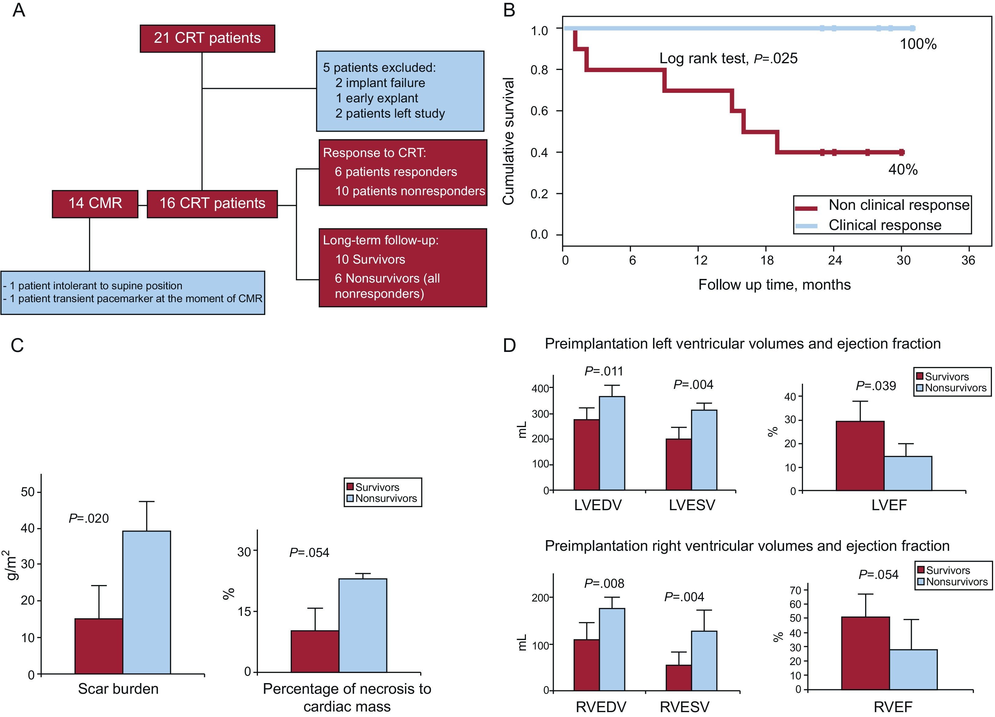 Baseline Right Ventricular Volumes and Function Are Associated With ...