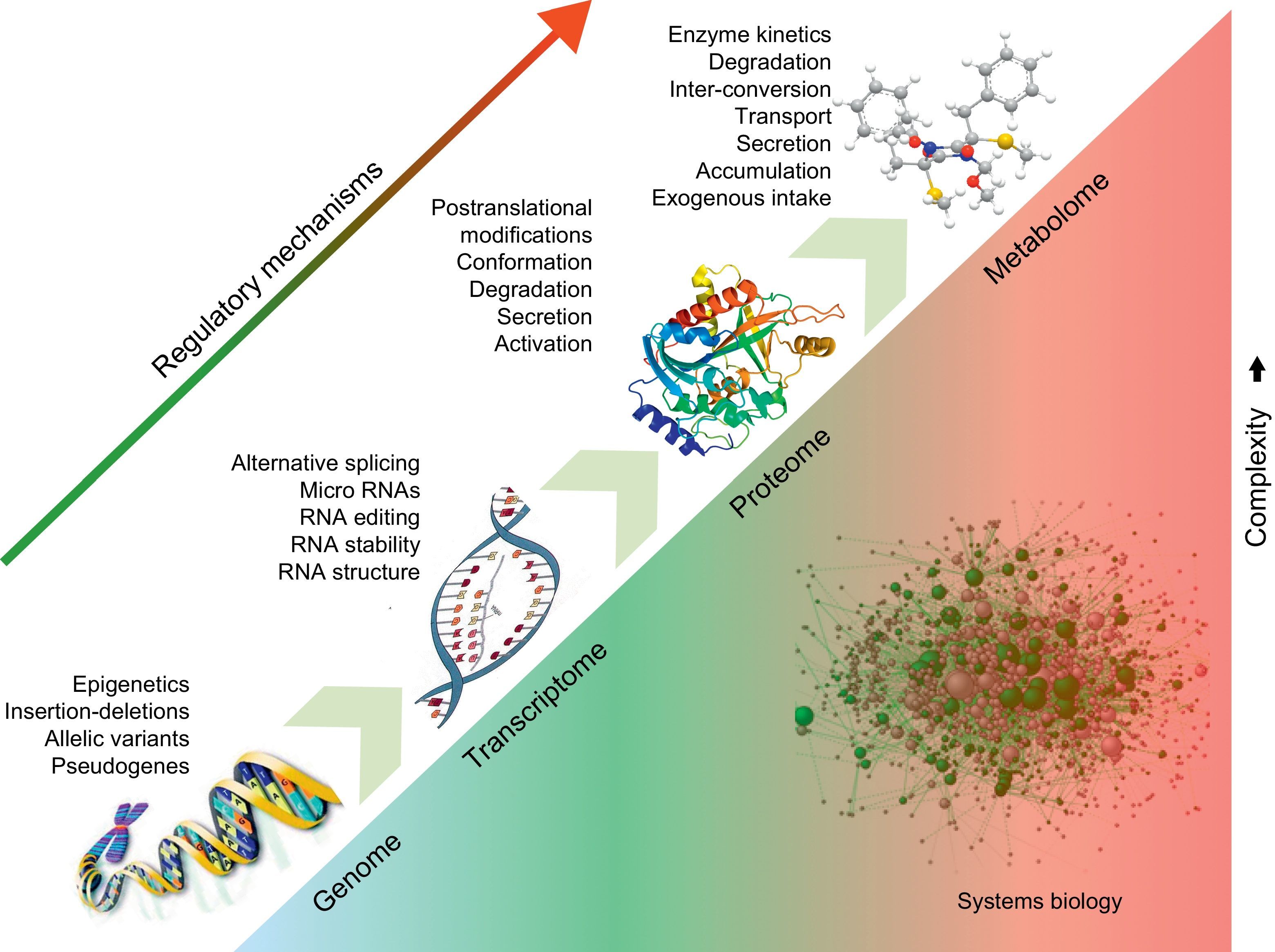 Proteomics and Metabolomics for Mechanistic Insights and Biomarker ...