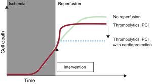 Illustration of the concept of reperfusion injury. During myocardial ischemia, cell death progresses. Reperfusion halts this process, but its benefit is limited by an increase in cell death during the first few minutes of reperfusion; this death can be avoided by using cardioprotective treatments at the time of flow restoration. PCI, percutaneous coronary intervention. Modified with the permission of Garcia-Dorado et al.27.