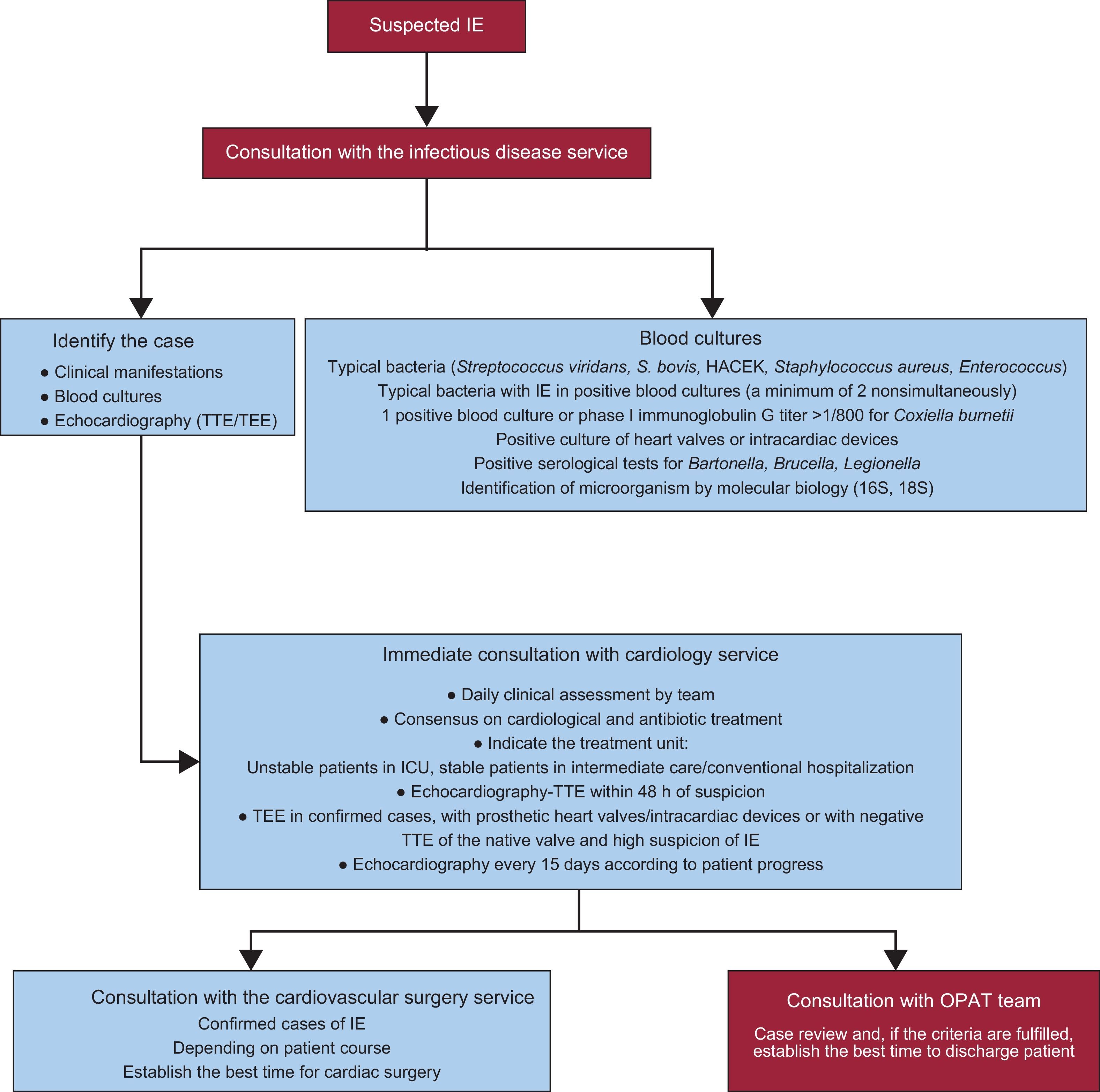 Organization and Functioning of a Multidisciplinary Team for the