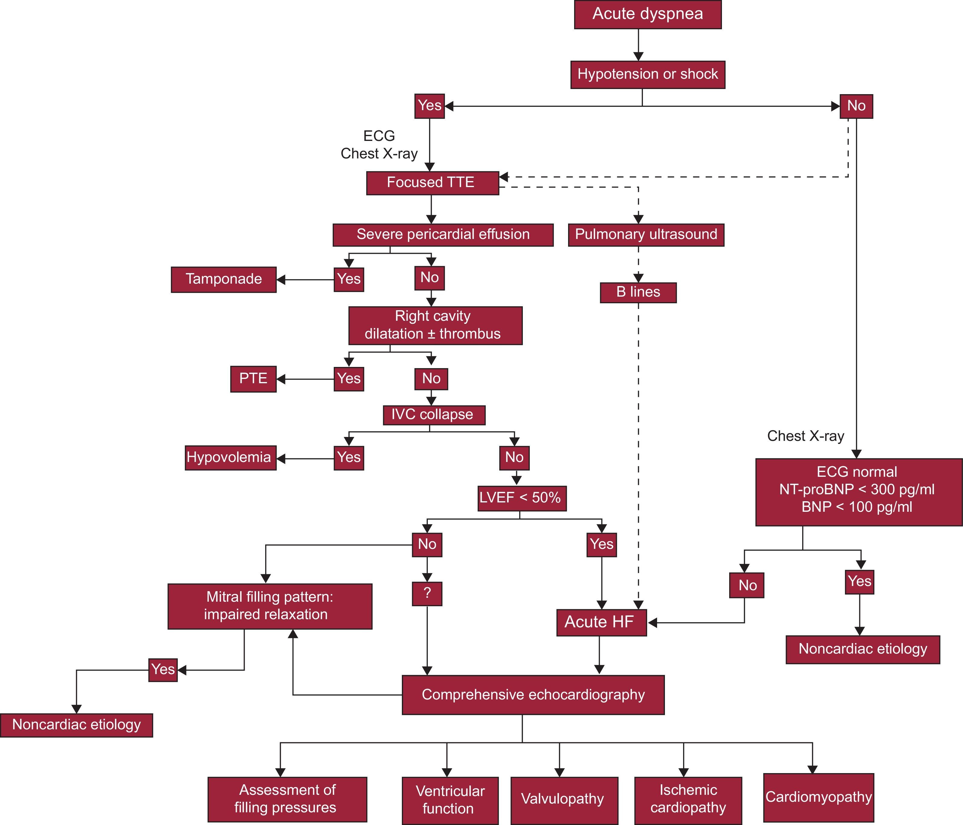 Diagnostic Dysfunction Algorithm Imaging Techniques in Acute Heart Failure | Revista Española de Cardiología