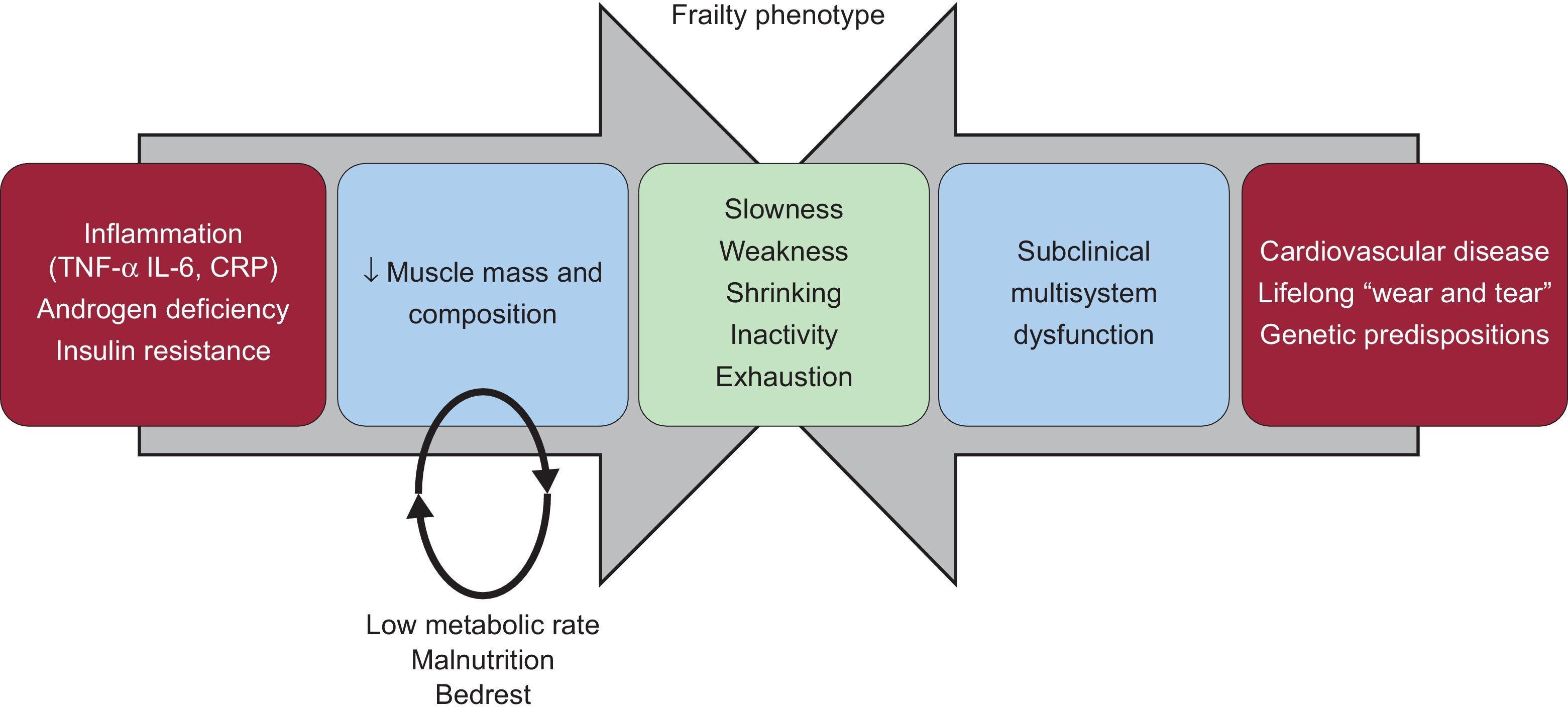 Frailty Service Pathways The Influence of Frailty on Outcomes in Cardiovascular Disease ...