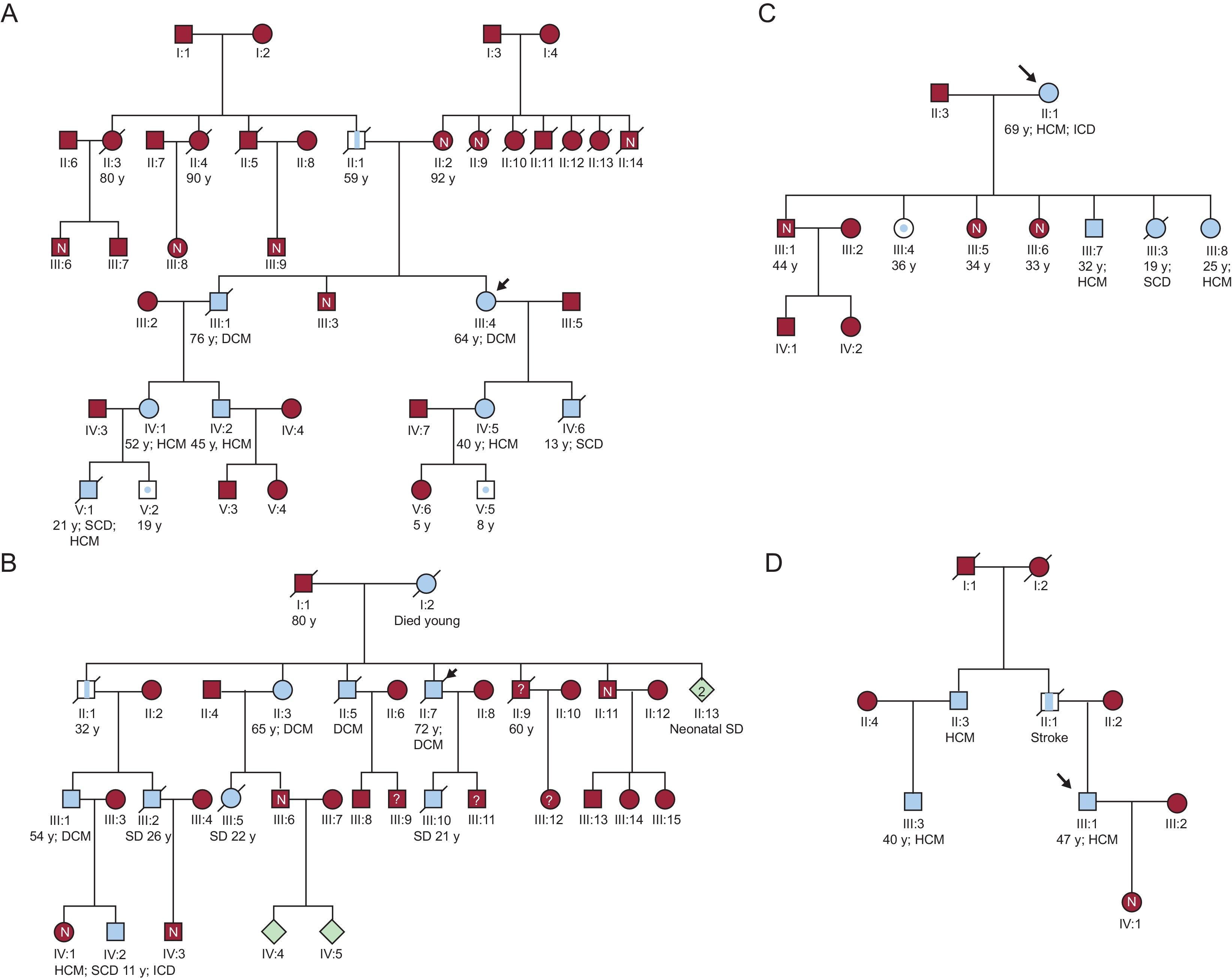 Clinical and Prognostic Profiles of Cardiomyopathies Caused by ...