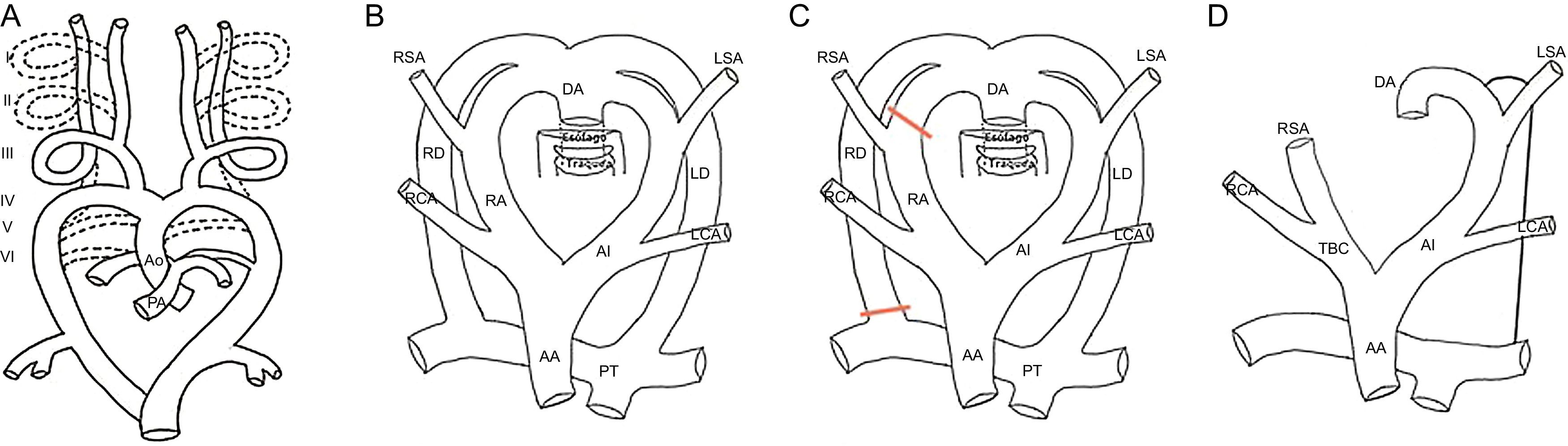 Multidetector Computed Tomography for Congenital Anomalies of the ...