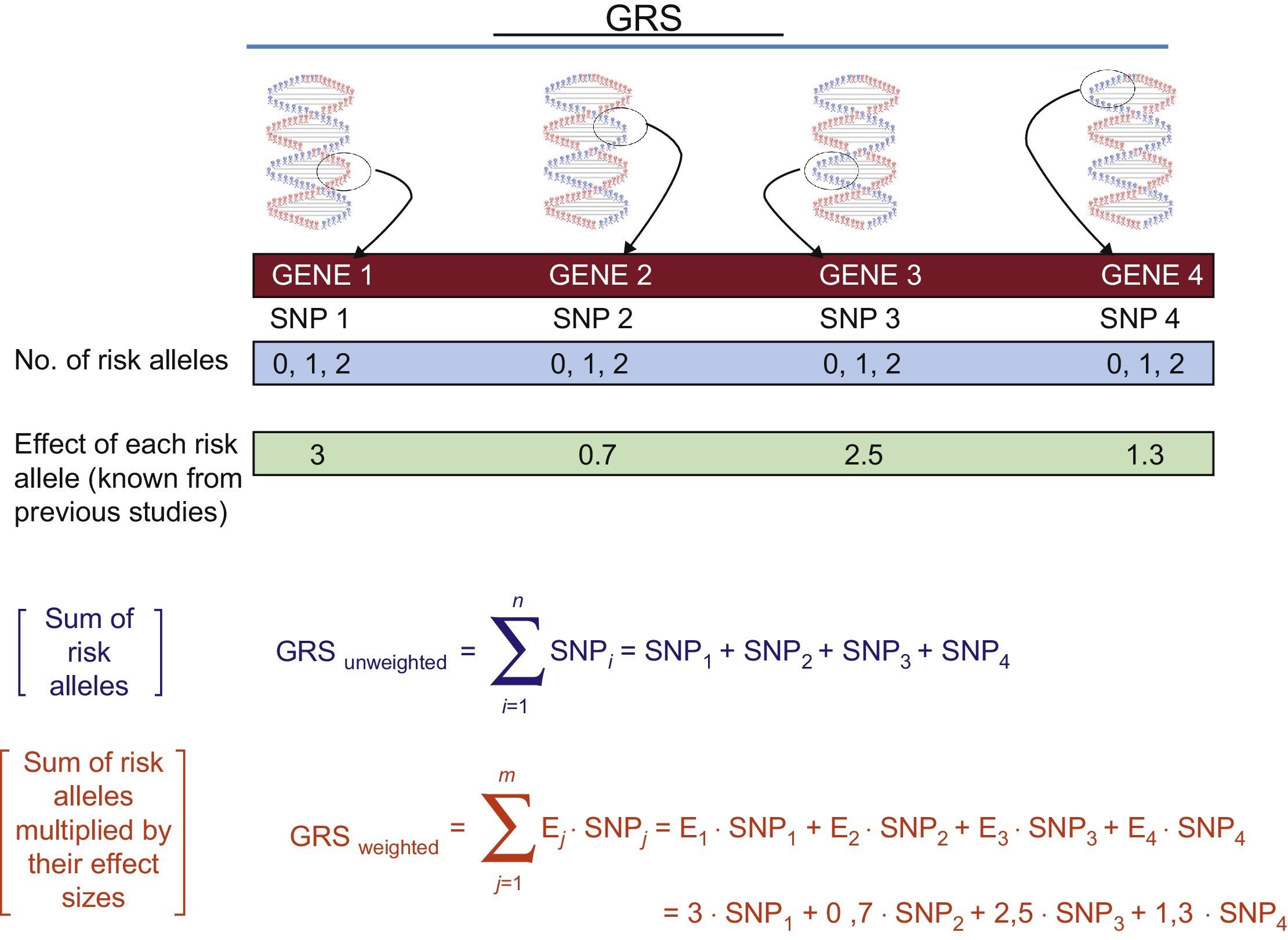 Basic Concepts in Molecular Biology Related to Genetics and Epigenetics ...