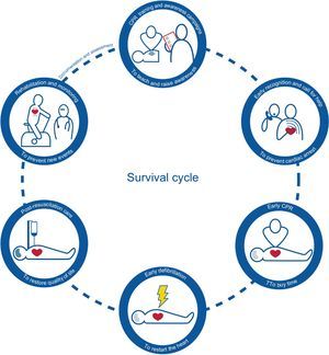 The Survival Cycle Based on the Chain of Survival.