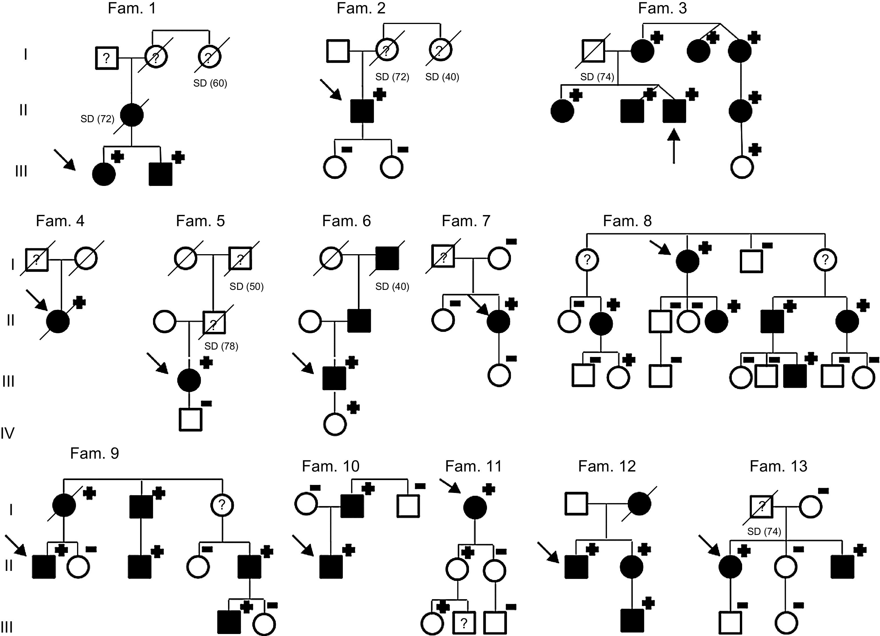 Insights Into Hypertrophic Cardiomyopathy Evaluation Through Follow-up ...