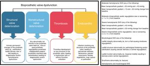 Pathophysiological mechanisms of bioprosthetic valve dysfunction (left) and European consensus definitions of structural valve dysfunction (right). SVD, structural valve dysfunction. Adapted with permission from Capodanno et al.60.