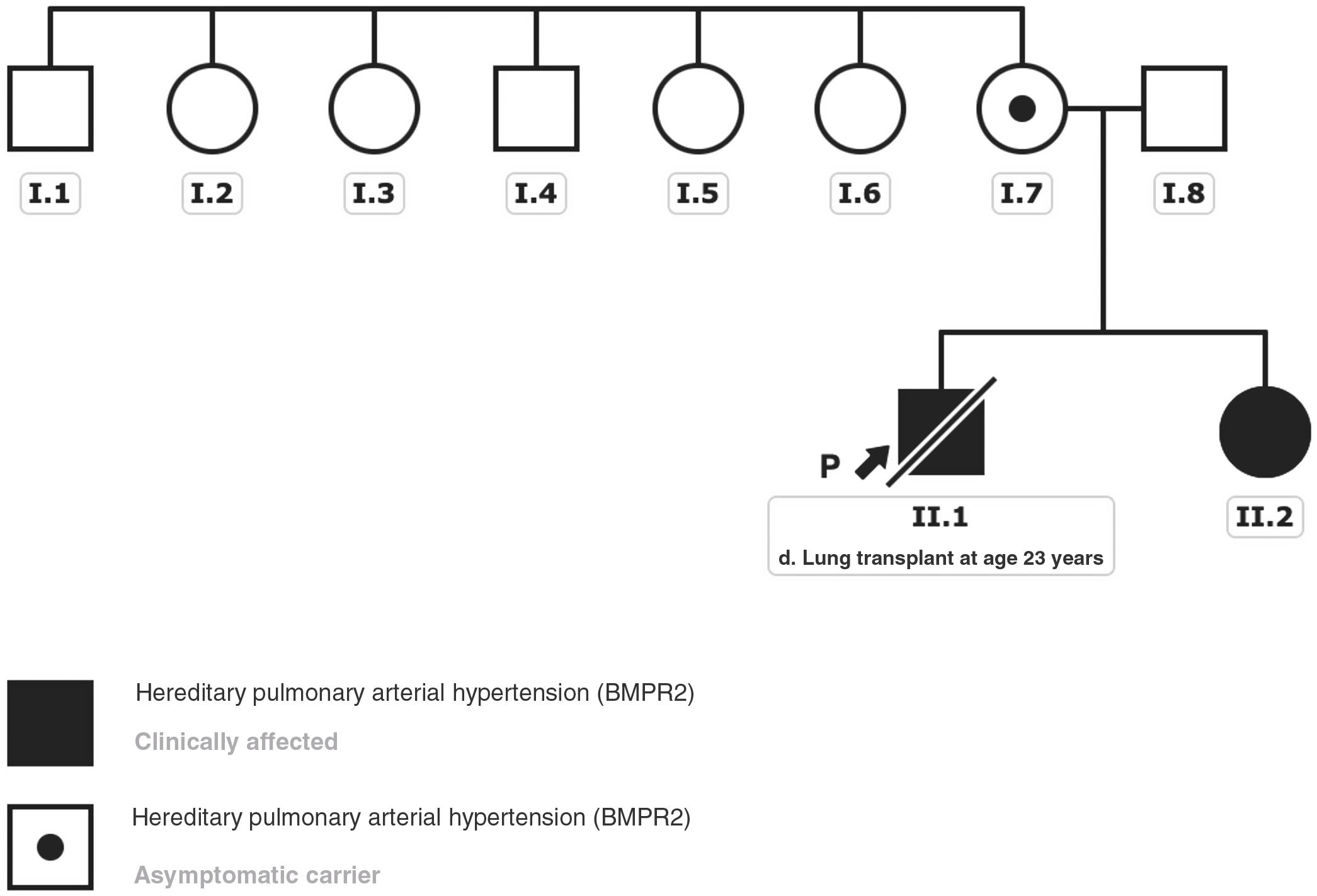The role of genetics in pulmonary arterial hypertension associated with ...