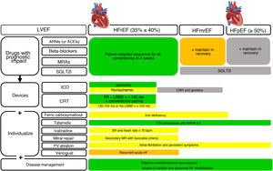 Schematic representation of the main recommendations and comments and their implementation by LVEF phenotype. Green, ESC class I; yellow, ESC class IIa; orange, ESC class IIb; gray, guideline comments. ACEIs, angiotensin-converting enzyme inhibitors; ARNIs, angiotensin receptor-neprilysin inhibitors; CMRI, cardiac magnetic resonance imaging; CRT, cardiac resynchronization therapy; Fe, iron; ICD, implantable cardioverter-defibrillator; HF, heart failure; LBBB, left bundle branch block; LVEF, left ventricular ejection fraction; MR, mitral regurgitation; MRAs, mineralocorticoid receptor antagonists; mrEF, mildly reduced LVEF; NYHA, New York Heart Association functional class; pEF, preserved LVEF; PVs, pulmonary veins; rEF, reduced LVEF; SGLT2i, sodium-glucose cotransporter-2 inhibitor; SR, sinus rhythm; TTR, transthyretin.