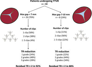 Tricuspid regurgitation reduction according to the size of the leaflet gap. TR, tricuspid regurgitation; TTVR, edge transcatheter tricuspid valve repair.
