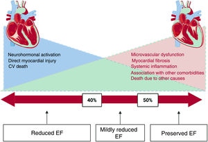 Overlapping of mechanisms, etiologies, and phenotypes in treatment for the total ejection fraction (EF) spectrum in heart failure. CV, cardiovascular.