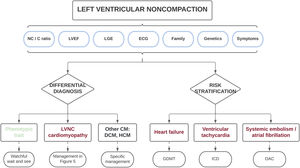 Central illustration. Clinical approach in individuals with morphologic features of left ventricular noncompaction. A comprehensive diagnostic evaluation is recommended to exclude patients with a simple phenotypic trait and those with other cardiomyopathies. The same variables used in the differential diagnosis may be applied for risk stratification to individualize patient treatment and follow-up. C, compacted; CM, cardiomyopathy; DCM, dilated cardiomyopathy; ECG, electrocardiogram; GDMT, guideline-directed medical therapy; HCM, hypertrophic cardiomyopathy; ICD, implantable cardioverter-defibrillator; LGE, late gadolinium enhancement; LVEF, left ventricular ejection fraction; LVNC, left ventricular noncompaction; NC, noncompacted; OAC, oral anticoagulation.