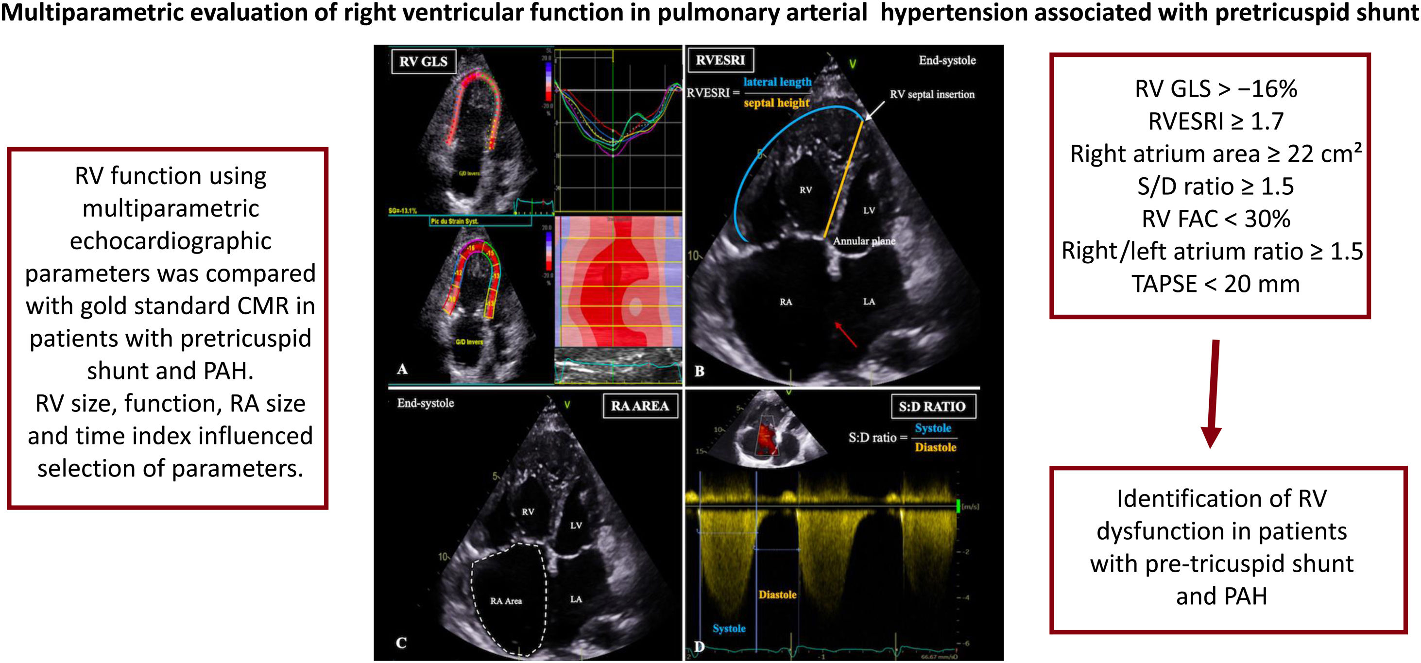 Multiparametric evaluation of right ventricular function in pulmonary ...