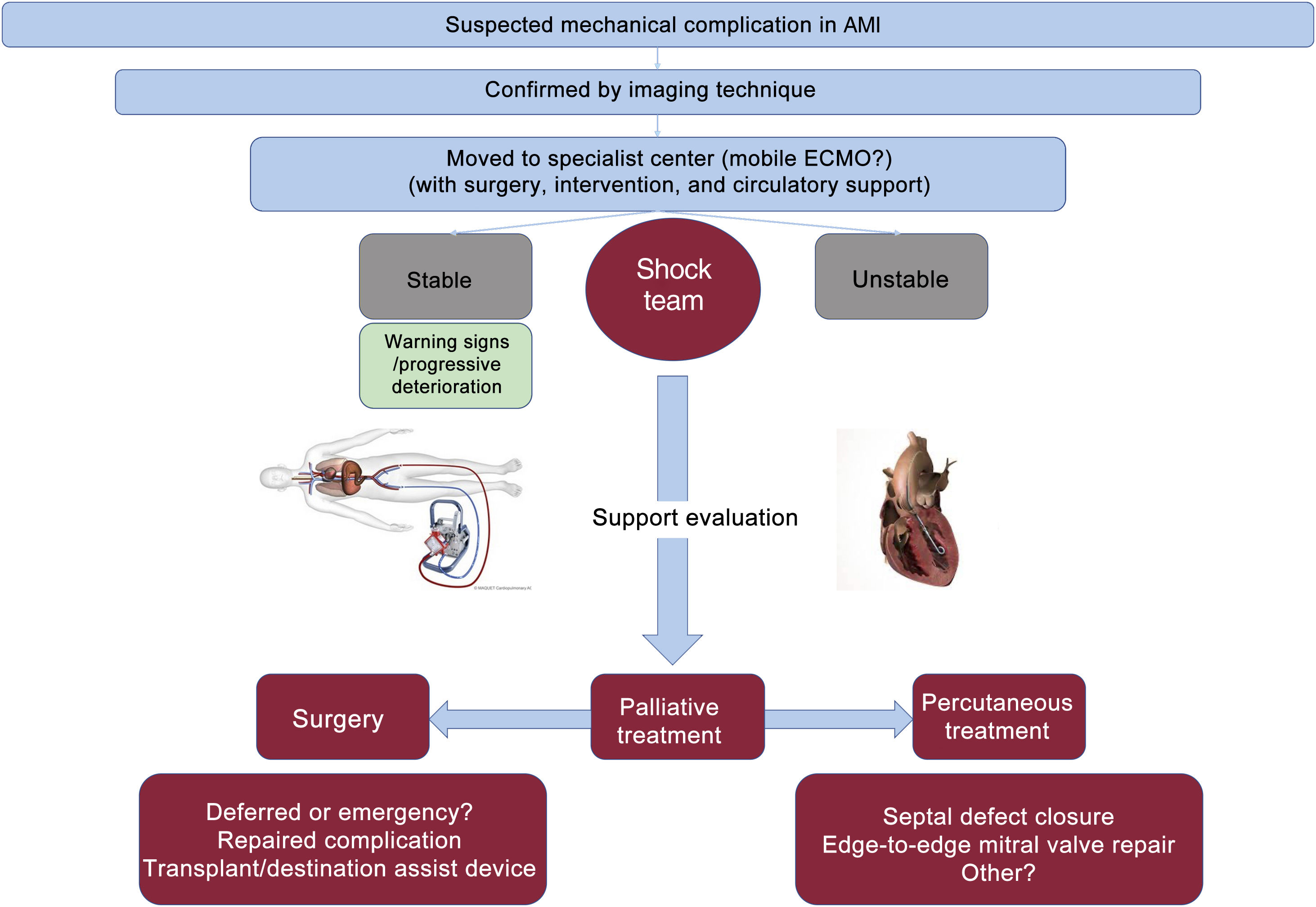 Management Algorithm Ami Interventional management of mechanical complications in acute ...
