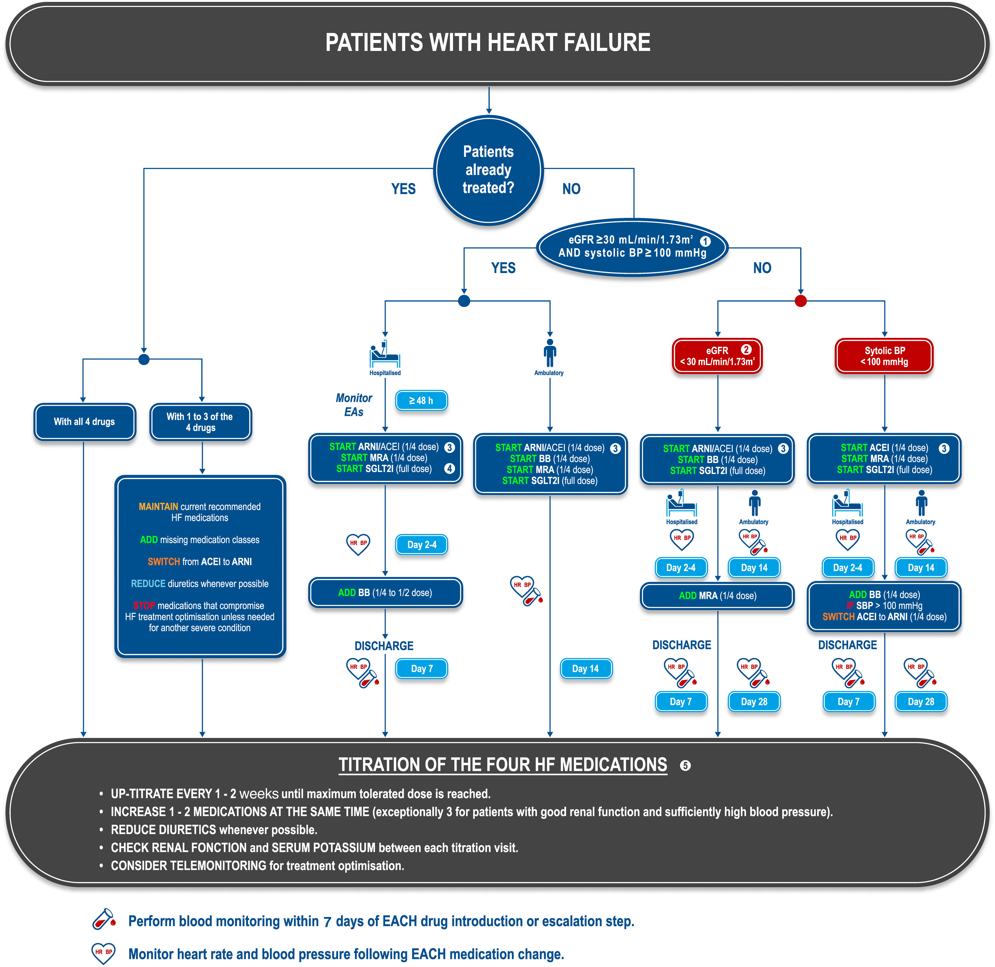 heart failure medication algorithm elderly patients