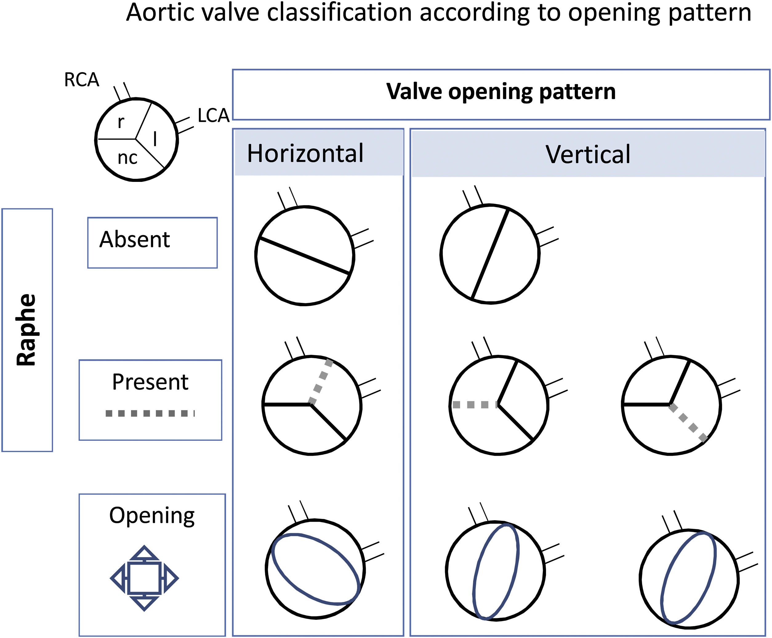 Characteristics and outcomes of the Spanish registry for pediatric ...